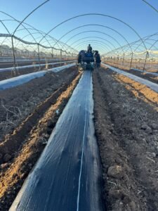 instalación acolchado